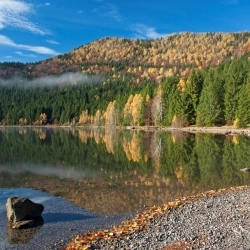 FOTOGRAFIA DE NATURĂ - SFATURI/TRUCURI ÎN ZORII ZILEI