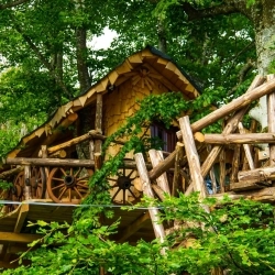 EXPERIENȚĂ ROMANTICĂ ÎNTR-O CĂSUȚĂ DIN COPAC