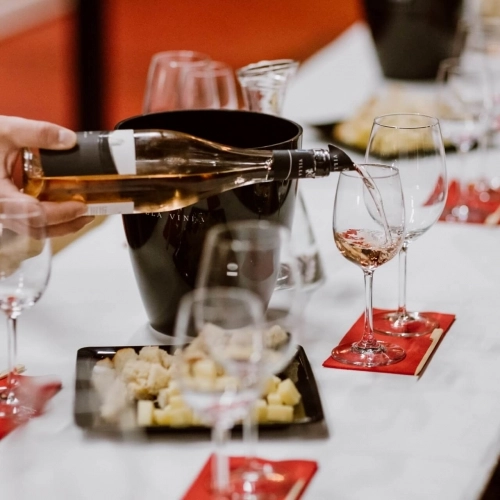 VIZITA CRAMEI ȘI DEGUSTARE DE VINURI ÎN INIMA TRANSILVANIEI