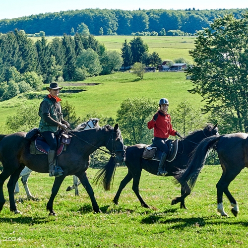 EXCURSIE CĂLARE DE O ZI ÎNTREAGĂ CU PICNIC