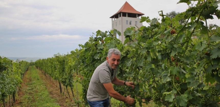 SAVOARE ȘI PANORAMĂ LA CRAMA VILLA VINÈA