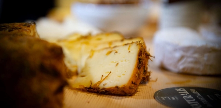 VIZITA CRAMEI ȘI DEGUSTARE DE VINURI PENTRU GURMANZI