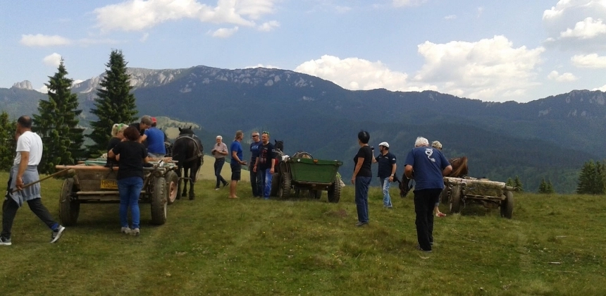 LÓSZEKERES TÚRA A CSÍKI-HAVASOKBAN
