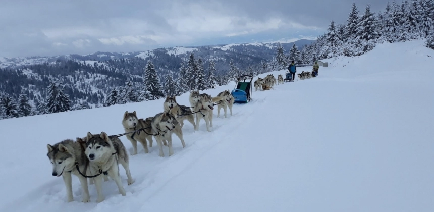 KUTYASZÁNOS KALAND A HARGITÁN – RÖVID TÚRA