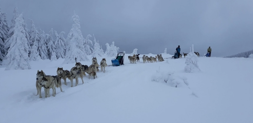 KUTYASZÁNOS KALAND A HARGITÁN – KÖZEPES TÚRA