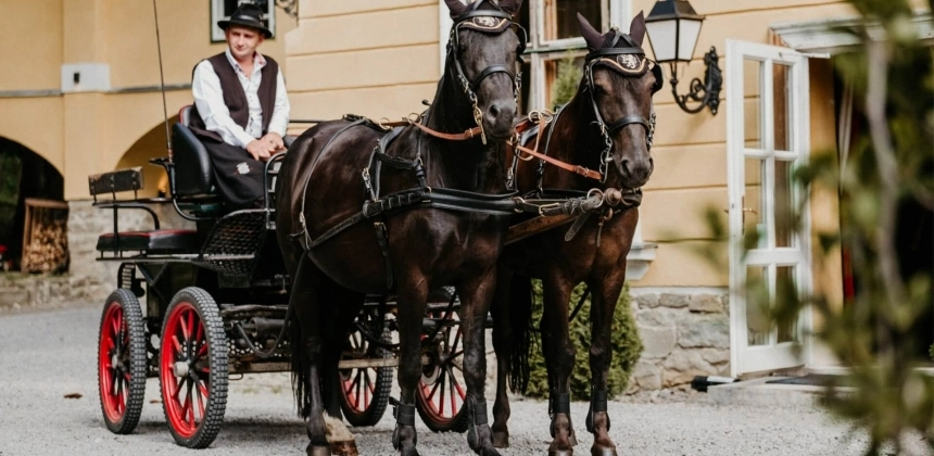 SZÁLLÁS GRÓFI KÉNYELEMBEN (M/E)