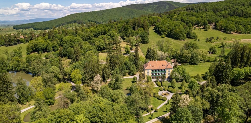 RITUAL DE SAUNĂ LA MARGINEA PĂDURII