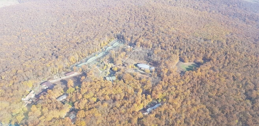 ZBOARĂ DEASUPRA ORAȘULUI TÂRGU MUREȘ – EXPERIENȚĂ PANORAMICĂ