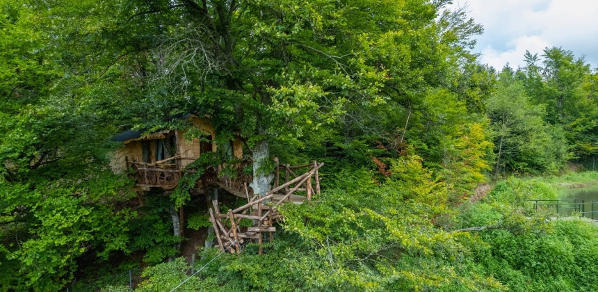 EXPERIENȚĂ ROMANTICĂ ÎNTR-O CĂSUȚĂ DIN COPAC