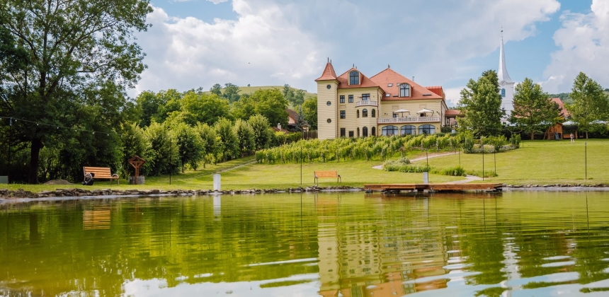 RELAXARE ÎNTRE ZIDURILE UNUI CONAC ISTORIC