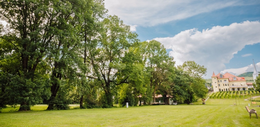 O ESCAPADĂ ÎN FAMILIE LA PETRY ESTATE WINERY