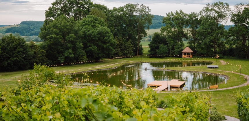 DEGUSTARE DE 4 VINURI LA PETRY ESTATE WINERY