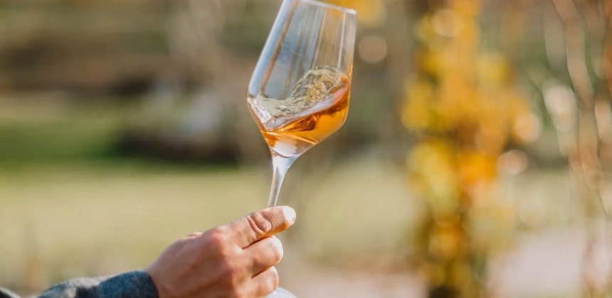 ARMONIA VINURILOR – DEGUSTARE SPECIALĂ LA DOMENIUL PETRY