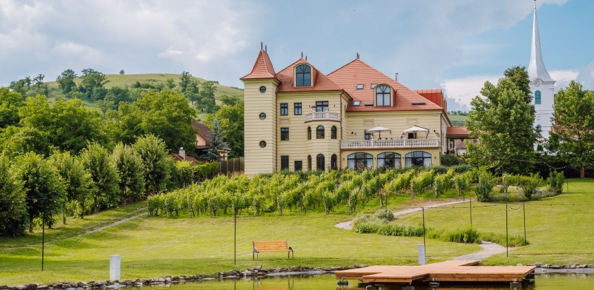 ARMONIA VINURILOR – DEGUSTARE SPECIALĂ LA DOMENIUL PETRY